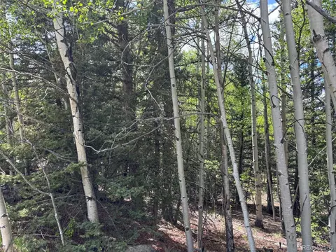 113 Ithaca Ln, Como, CO 80432 photo 17