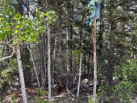 113 Ithaca Ln, Como, CO 80432 photo 16