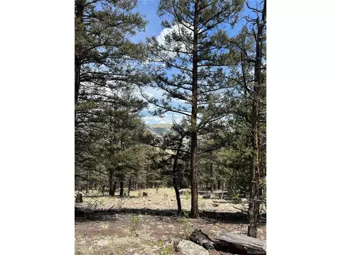 Middle Fork Vis, Fairplay, CO 80440 photo 14