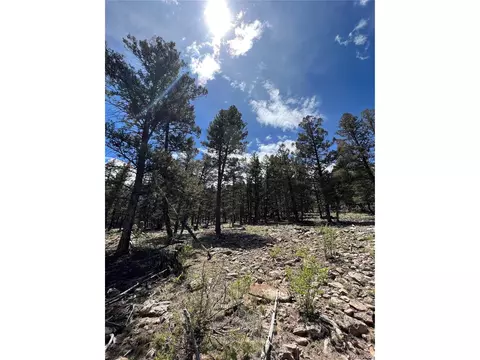 Middle Fork Vis, Fairplay, CO 80440 photo 15
