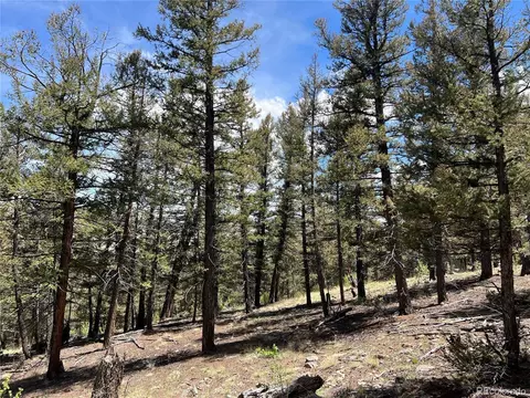 Middle Fork Vis, Fairplay, CO 80440 photo 16