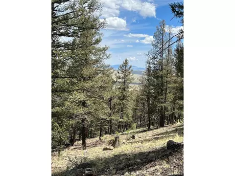 Middle Fork Vis, Fairplay, CO 80440 photo 5