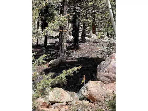 Middle Fork Vis, Fairplay, CO 80440 photo 21
