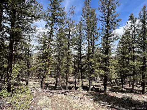 Middle Fork Vis, Fairplay, CO 80440 photo 9