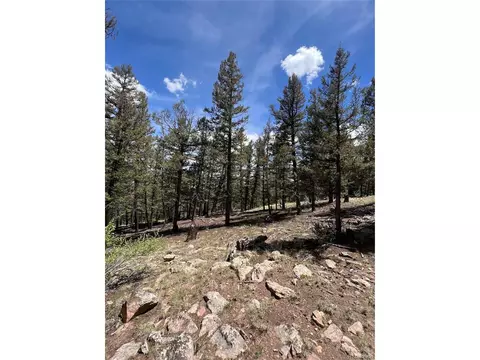 Middle Fork Vis, Fairplay, CO 80440 photo 17