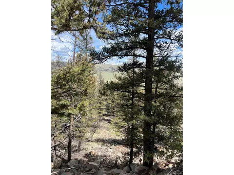 Middle Fork Vis, Fairplay, CO 80440 photo 19