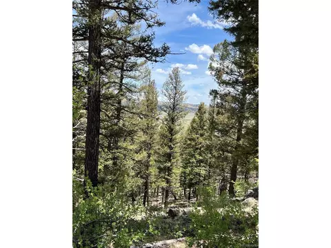 Middle Fork Vis, Fairplay, CO 80440 photo 12