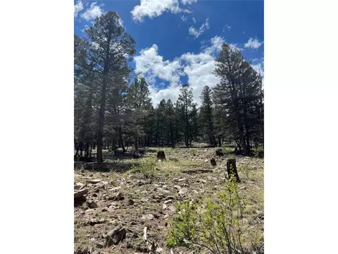 Middle Fork Vis, Fairplay, CO 80440 photo 18