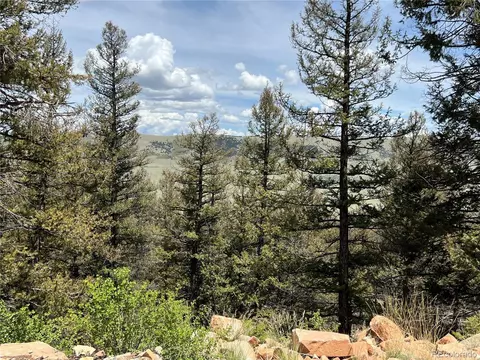 Middle Fork Vis, Fairplay, CO 80440 photo 20