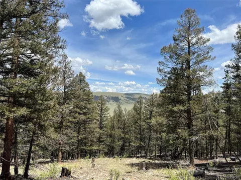 Middle Fork Vis, Fairplay, CO 80440