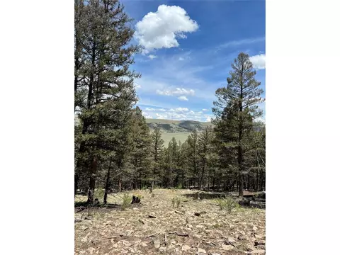 Middle Fork Vis, Fairplay, CO 80440 photo 2