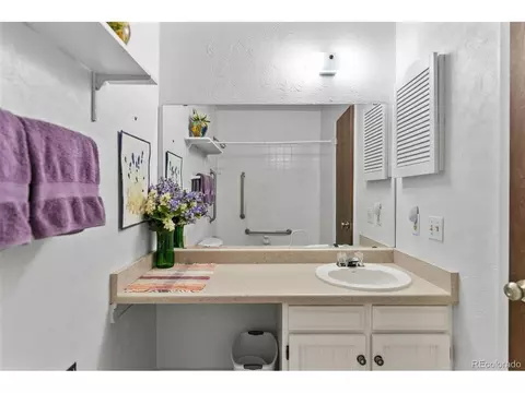 8710 Carr Loop, Arvada, CO 80005 photo 14