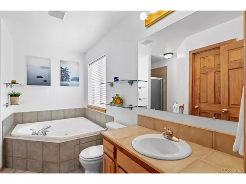 145 Bristlecone Cir, Bailey, CO 80421 photo 12