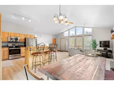 145 Bristlecone Cir, Bailey, CO 80421 photo 8
