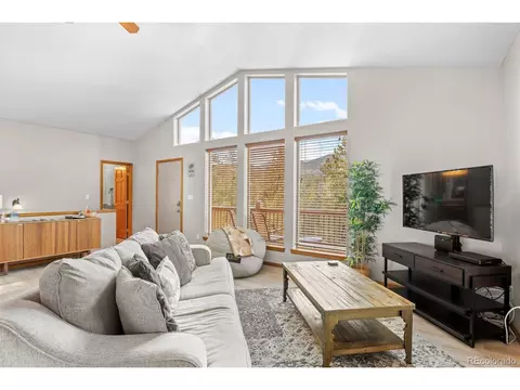 145 Bristlecone Cir, Bailey, CO 80421 photo 9
