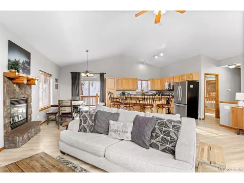 145 Bristlecone Cir, Bailey, CO 80421 photo 10