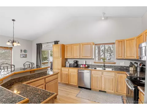 145 Bristlecone Cir, Bailey, CO 80421 photo 7