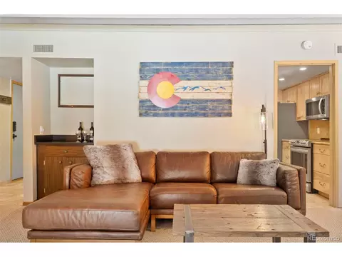 700 Snowberry Ln #102, Breckenridge, CO 80424