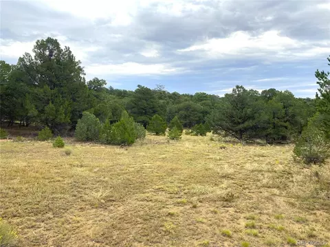 18 Fox Fire Trl, Cotopaxi, CO 81223 photo 19