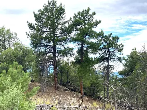 18 Fox Fire Trl, Cotopaxi, CO 81223 photo 9