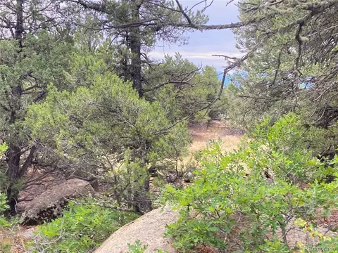 18 Fox Fire Trl, Cotopaxi, CO 81223 photo 17