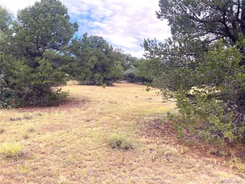 18 Fox Fire Trl, Cotopaxi, CO 81223 photo 10