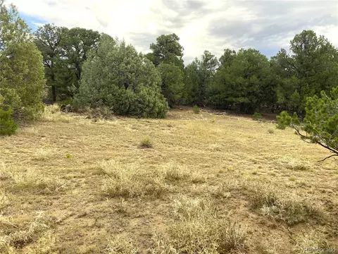 18 Fox Fire Trl, Cotopaxi, CO 81223 photo 14