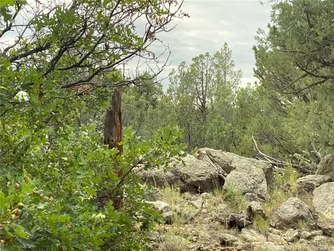 18 Fox Fire Trl, Cotopaxi, CO 81223 photo 18