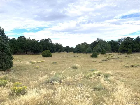 18 Fox Fire Trl, Cotopaxi, CO 81223 photo 3