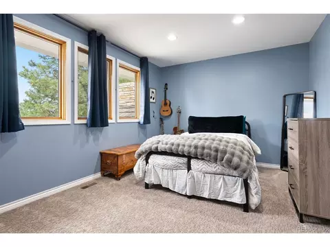 7703 S Grape Ct, Centennial, CO 80122 photo 25
