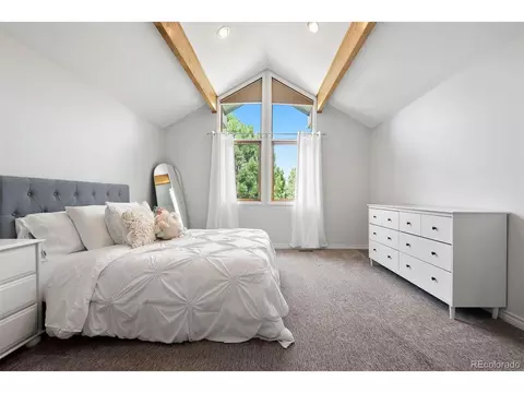 7703 S Grape Ct, Centennial, CO 80122 photo 22