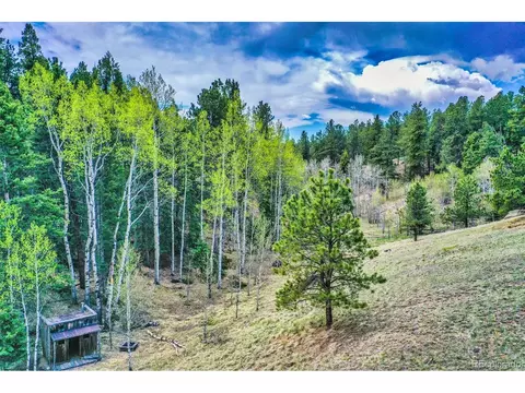 Undisclosed, Divide, CO 80814 photo 6