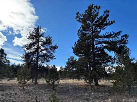 823 Windmill Dr, Hartsel, CO 80449 photo 11