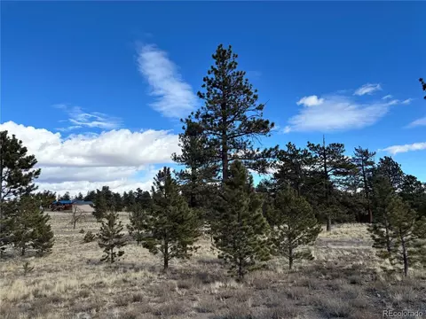 823 Windmill Dr, Hartsel, CO 80449 photo 7