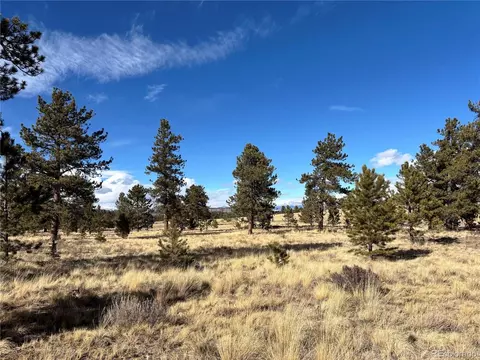 823 Windmill Dr, Hartsel, CO 80449 photo 4