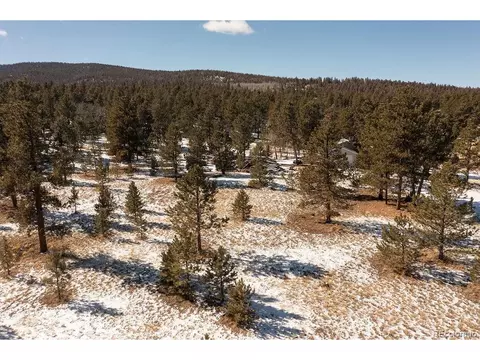 823 Windmill Dr, Hartsel, CO 80449 photo 27