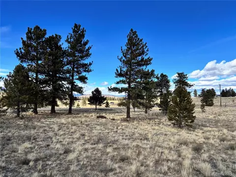 823 Windmill Dr, Hartsel, CO 80449 photo 14