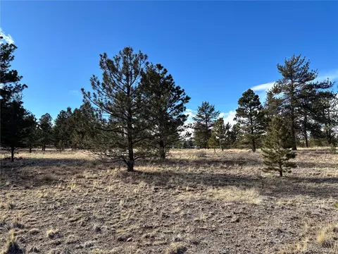 823 Windmill Dr, Hartsel, CO 80449 photo 15