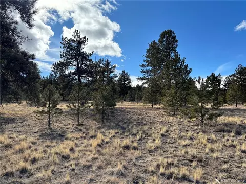 823 Windmill Dr, Hartsel, CO 80449 photo 13