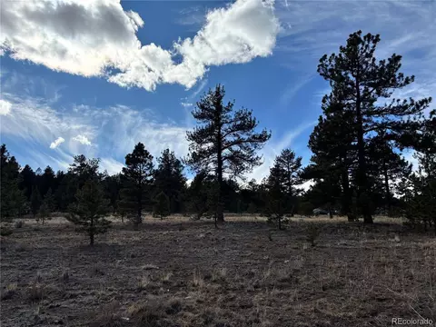 823 Windmill Dr, Hartsel, CO 80449 photo 3