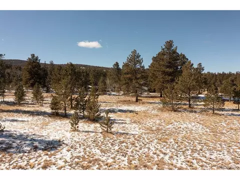 823 Windmill Dr, Hartsel, CO 80449 photo 26