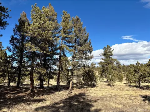 823 Windmill Dr, Hartsel, CO 80449 photo 8