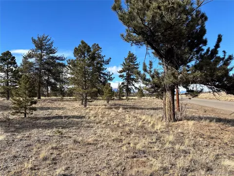 823 Windmill Dr, Hartsel, CO 80449 photo 16