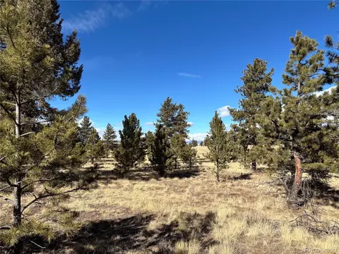 823 Windmill Dr, Hartsel, CO 80449 photo 5