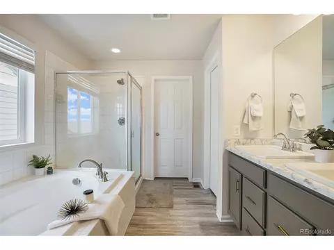 1867 Paley Dr, Windsor, CO 80550 photo 6