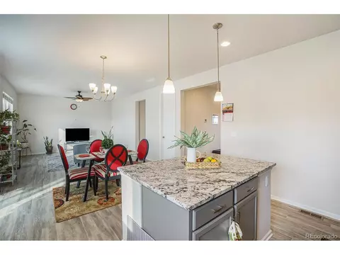 1867 Paley Dr, Windsor, CO 80550 photo 13