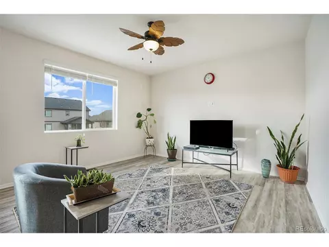 1867 Paley Dr, Windsor, CO 80550 photo 14
