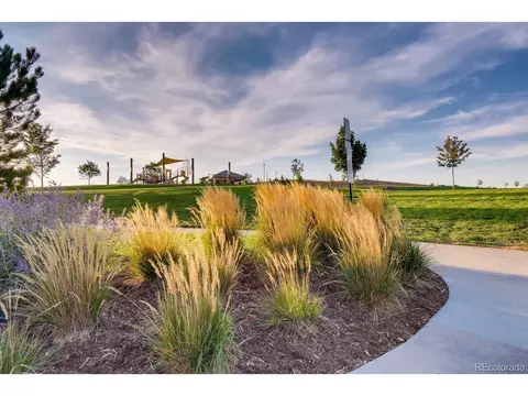 7835 E 139th Pl, Thornton, CO 80602 photo 31