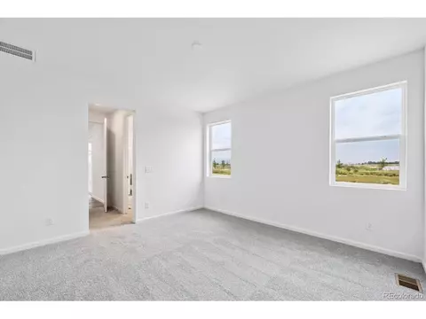 984 Sandhills St, Windsor, CO 80550 photo 18