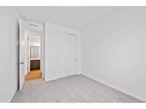 984 Sandhills St, Windsor, CO 80550 photo 16